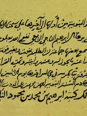 هل “نجا” الناجي من ابن&nbsp;تيمية؟